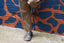 JC Denim with Sole