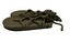 Romano Olive with Sole