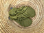 JC Springboks Green